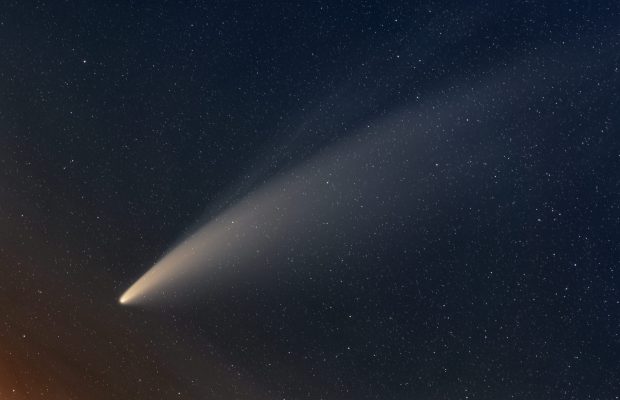 NEOWISE, Every Morning You Greet Me: MR. UNIVERSE