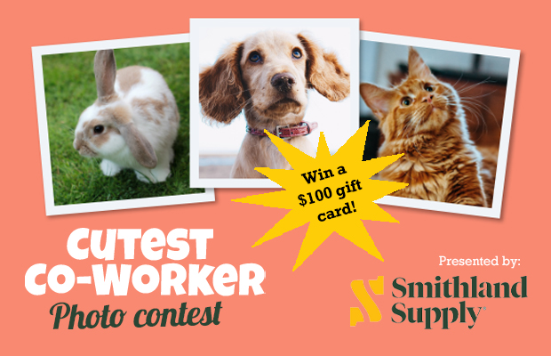 Cutest Pet Coworker Photo Contest!