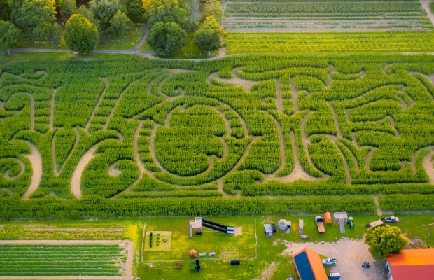 VOTE! Mike’s Maze 2020