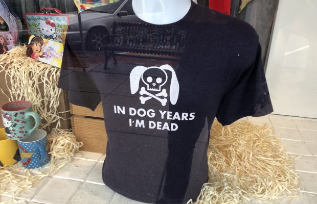 New Math In Dog Years: HEAVY PETTING