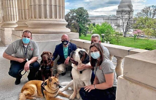 Reparations, comfort dogs & Clooney: McGoverning with McGovern