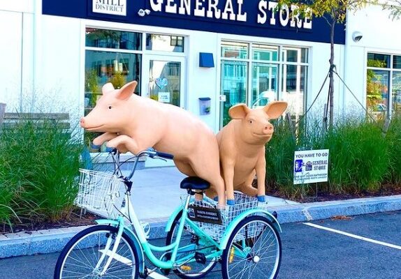 Placemaking and Pig-mending at The Mill District