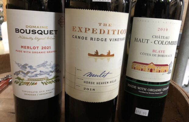 Come drink Merlot with us, Paul Giamatti!