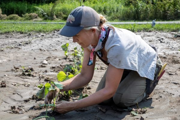 Help Flooded Farms with CISA!
