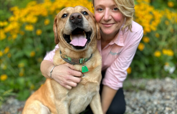 Dog Pause – Recall Episode