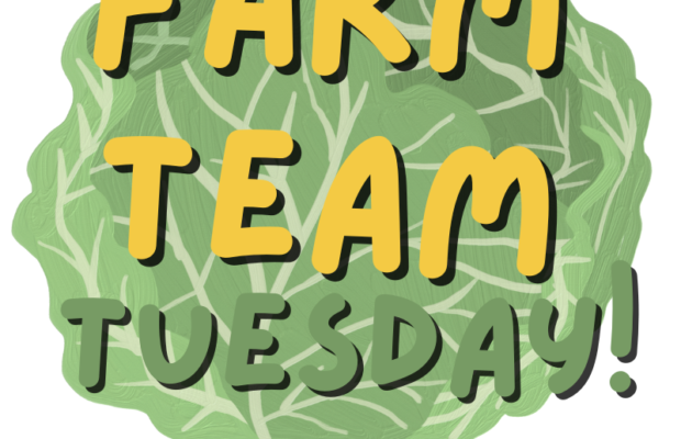 Farm Team Tuesday 20260331
