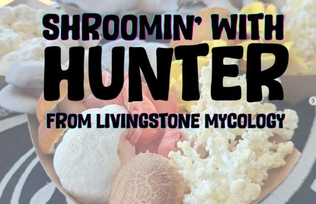 Shroomn’ with Hunter – CHAGA