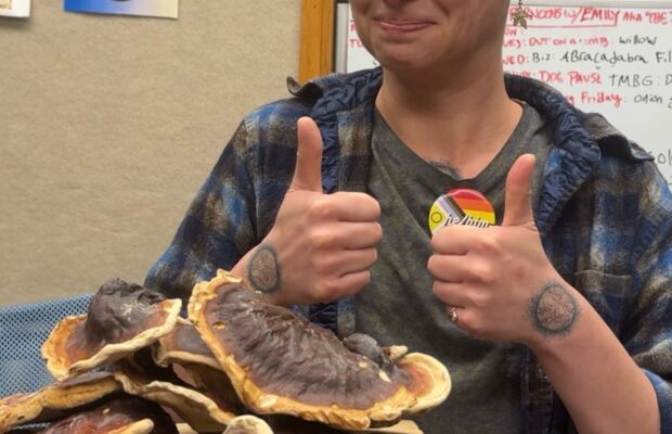Shroomin’ with Hunter  – Reishi or Hemlock Varnish Shelf